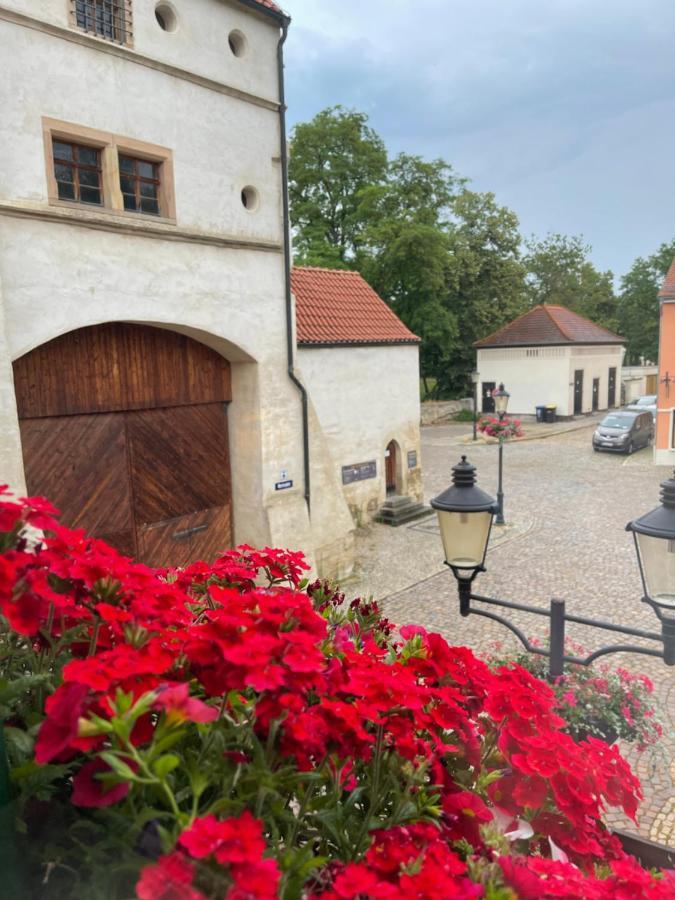 Pension Alt Naumburg เนาม์บวร์ก ภายนอก รูปภาพ